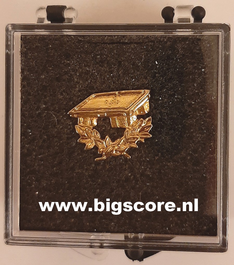 Biljart Pool Pin Goud LAATSTE 3 OP=OP!!